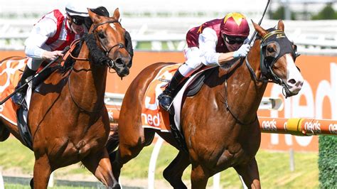 pb lawrence stakes|The Oracle's runner.